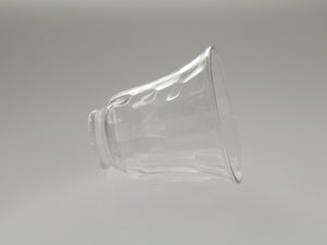 Carriage House Clear Glass Shade