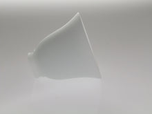 Carriage House Frosted Etched Glass Shade